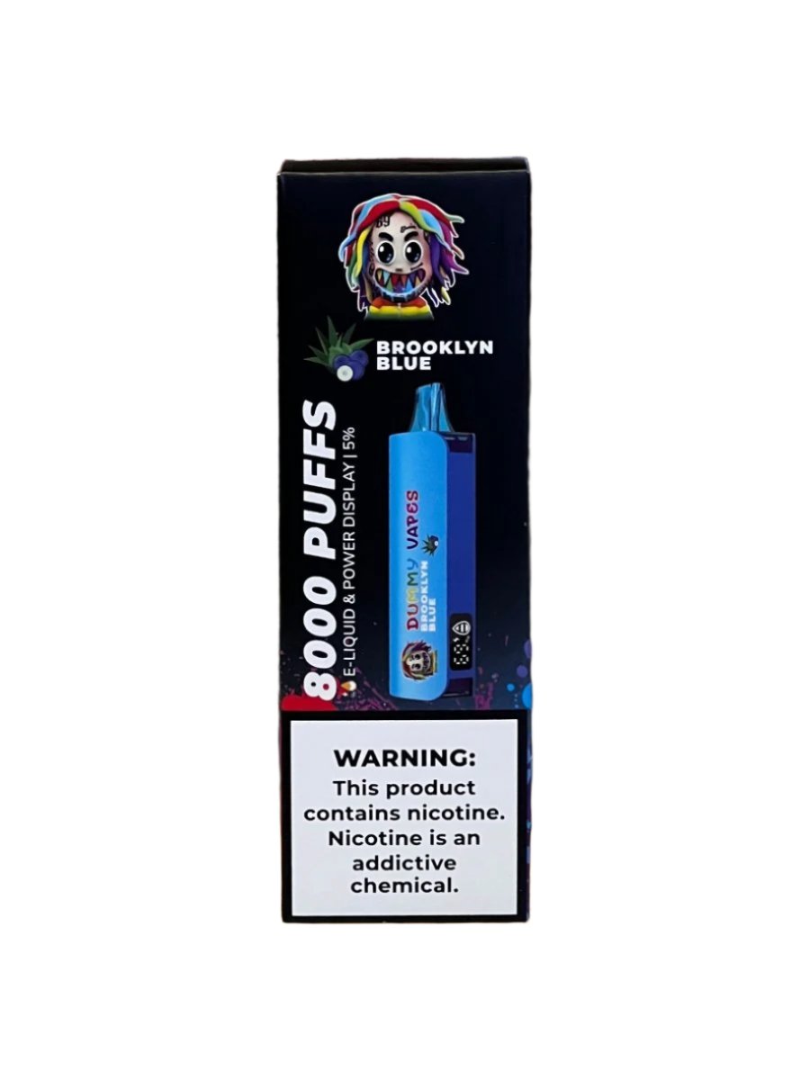 Dummy Vapes 8000 Puffs Disposable Vape - Sinz's LLC