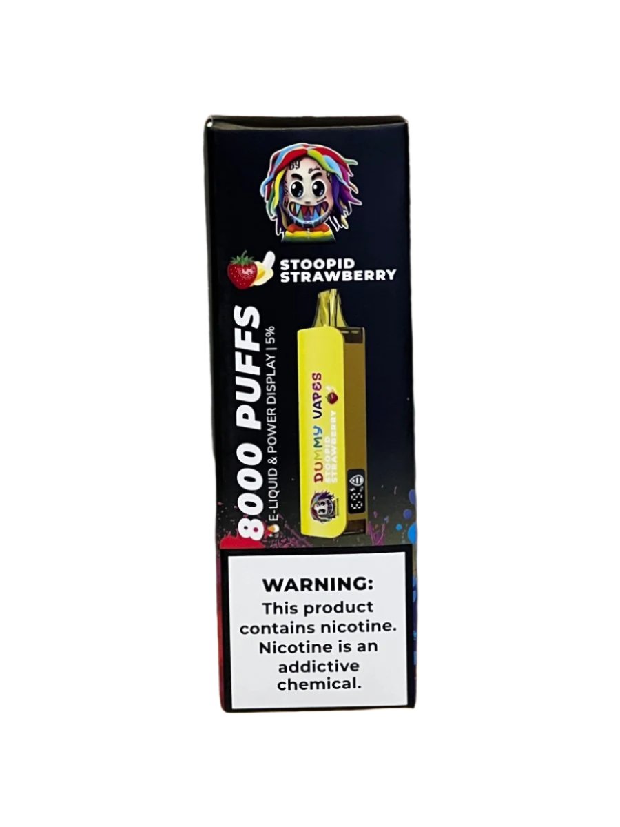 Dummy Vapes 8000 Puffs Disposable Vape - Sinz's LLC